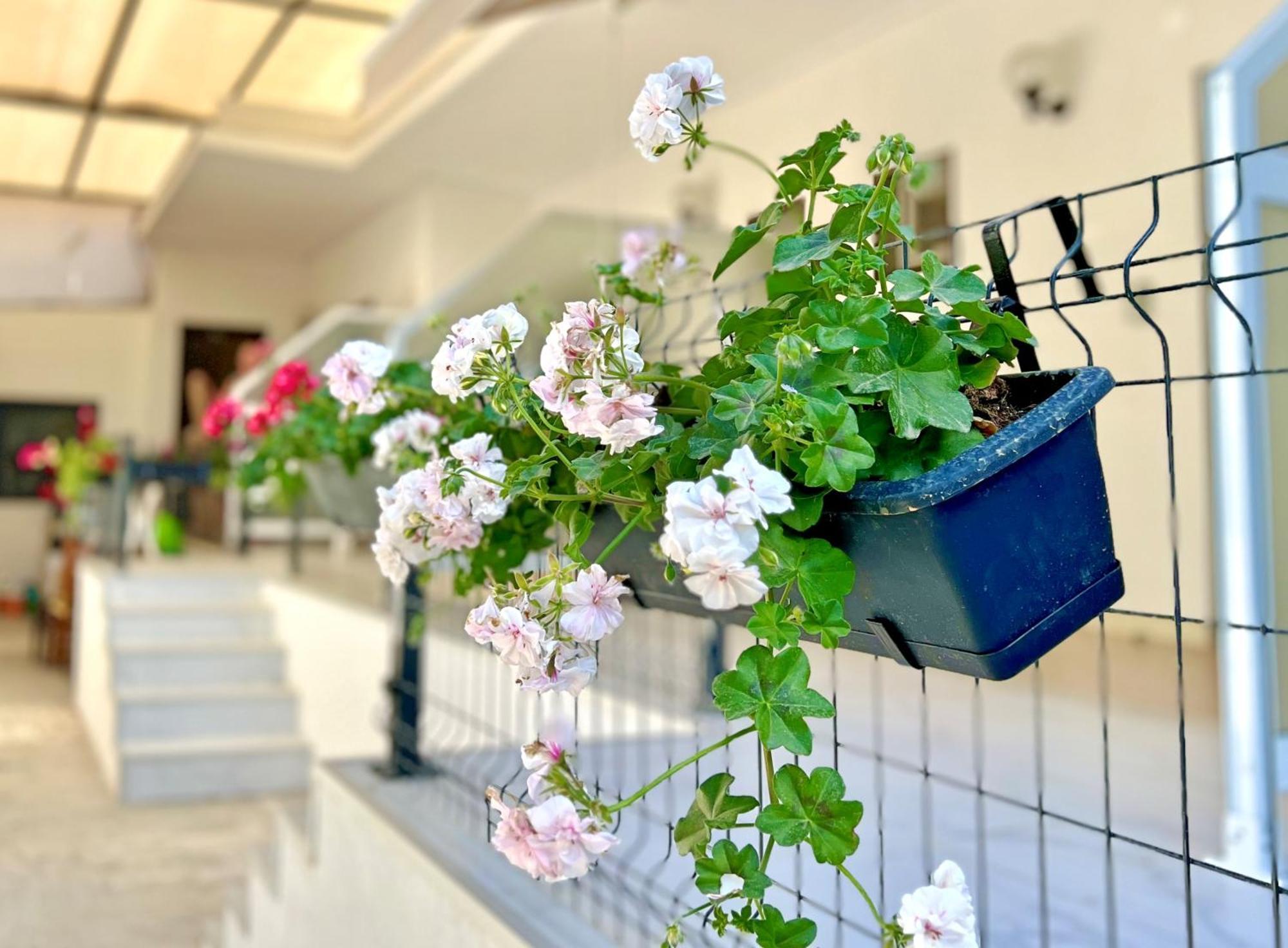 Guest House Julia Stavros  Zewnętrze zdjęcie